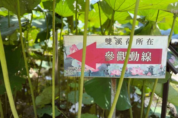 新北雙溪5